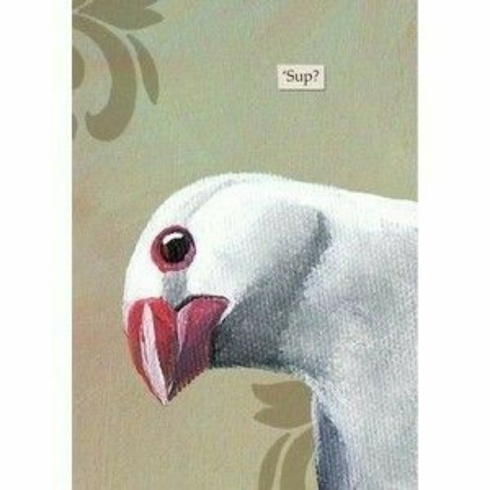 Meet your Posher, Priscilla